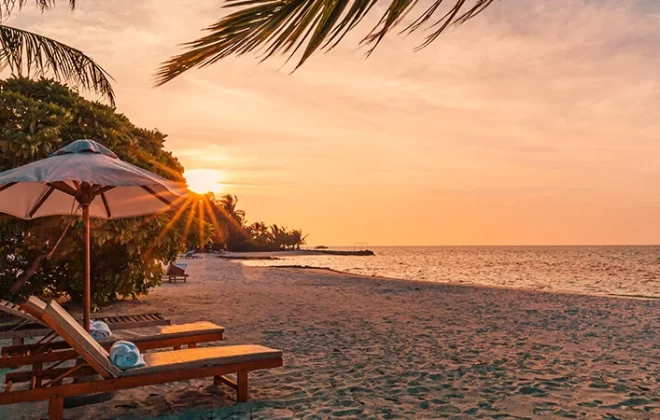 VIP Transfer ile Konforlu Tatil Başlangıcı
