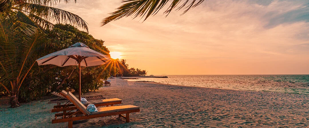 VIP Transfer ile Konforlu Tatil Başlangıcı